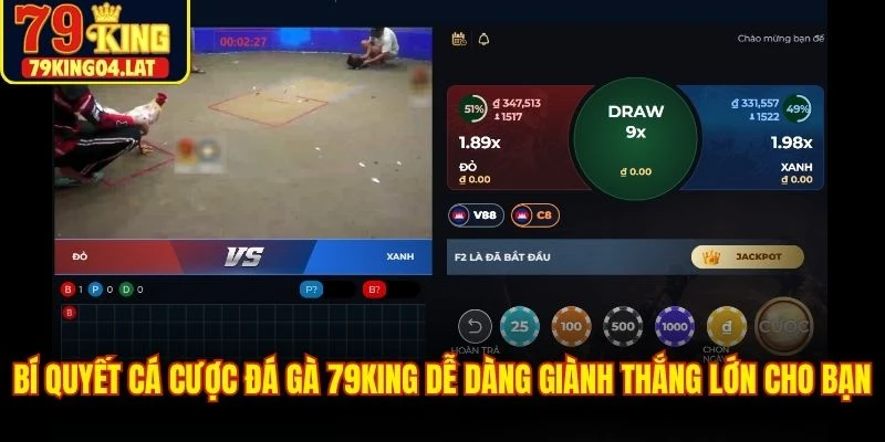 Bí quyết cá cược đá gà 79KING dễ dàng giành thắng lớn cho bạn