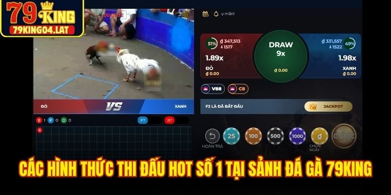 Các hình thức thi đấu hot số 1 tại sảnh đá gà 79KING