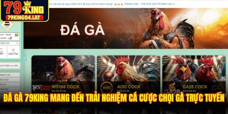 Đá gà 79KING mang đến trải nghiệm cá cược chọi gà trực tuyến hấp dẫn